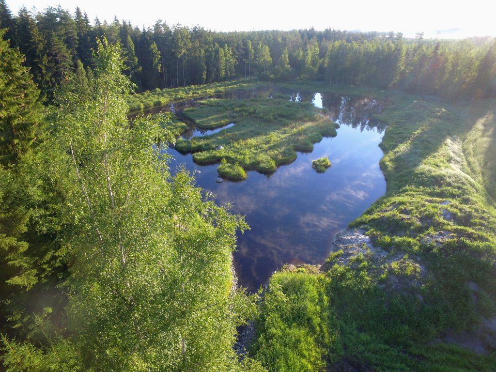 Polarian kosteikkoprojekti